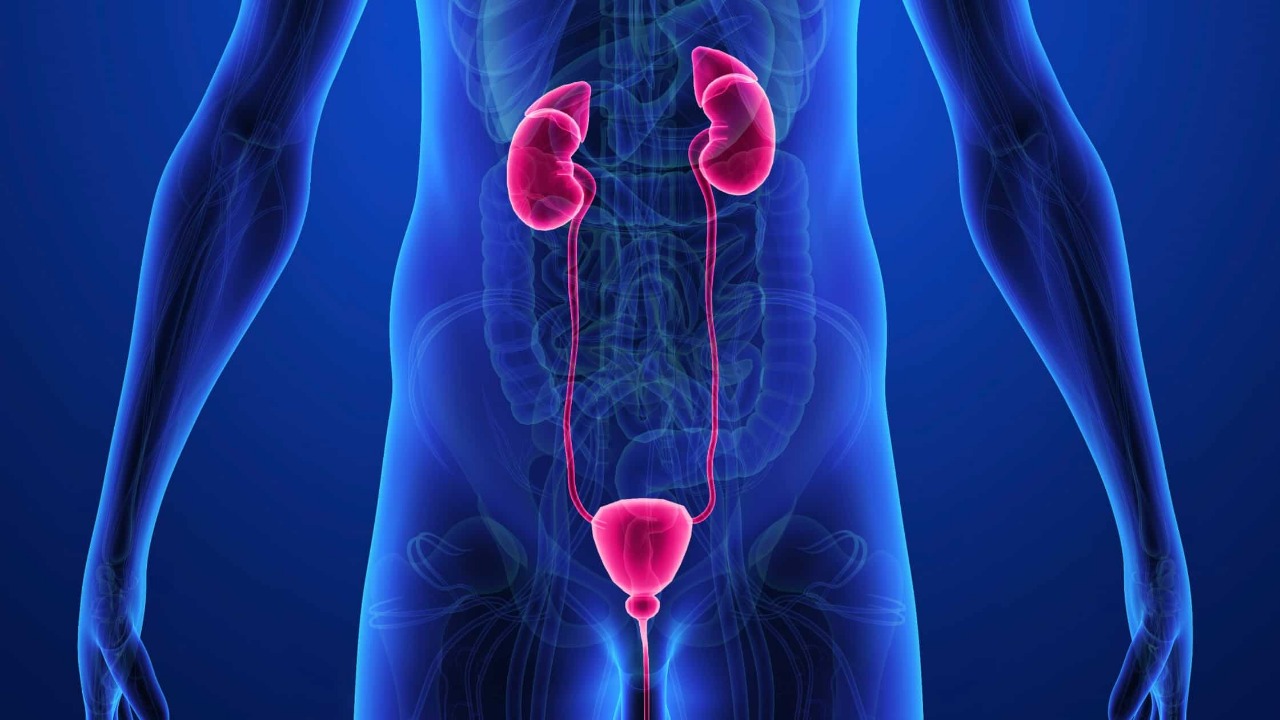 urolog