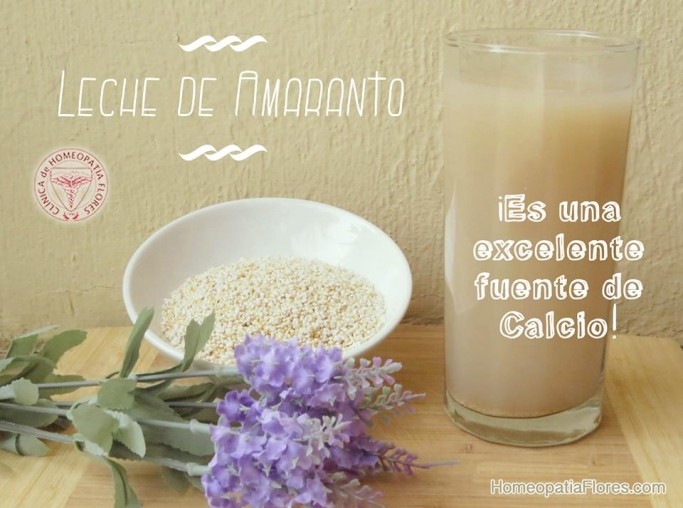 Como preparar leche de amaranto