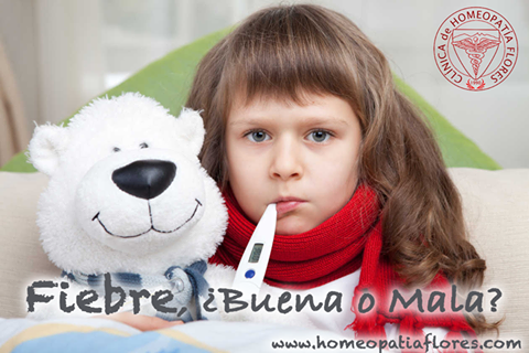 ¿ Es la fiebre, buena o mala ?