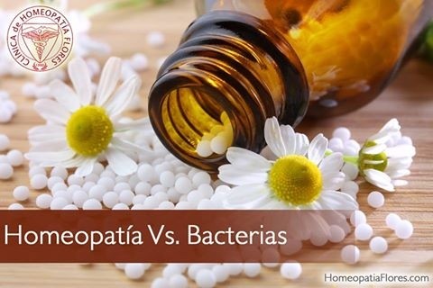 La homeopatia frente a las bacterias