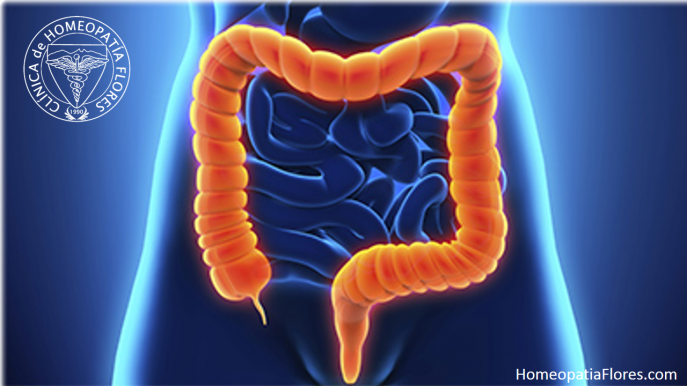 La importancia de las bacterias intestinales