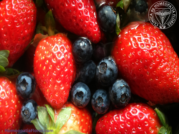 Dieta anti-angiogénica –-- anti-cancerígena