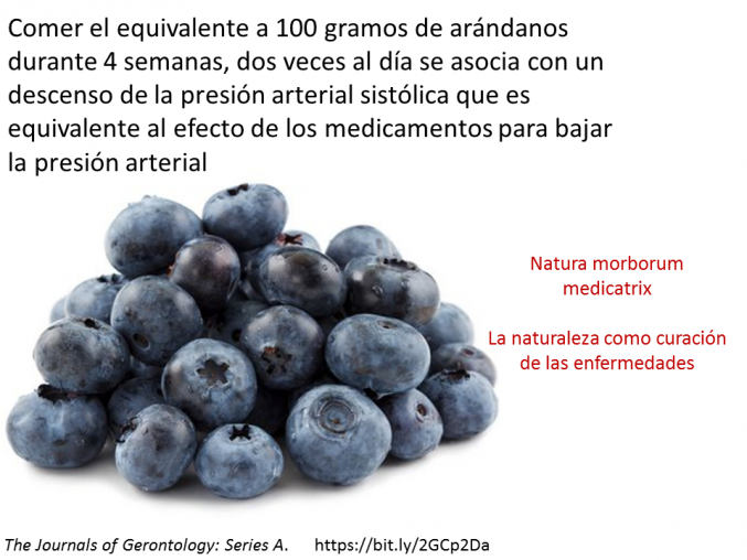 Natura morborum medicatrix