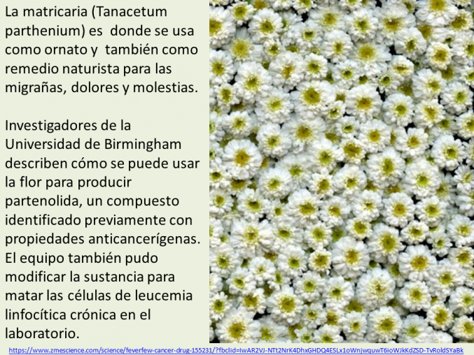 La naturaleza como fuente de salud