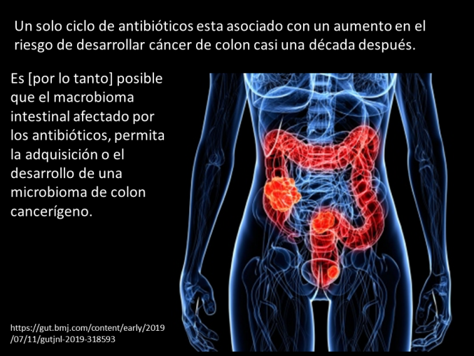 Asocian uso de antibióticos con cáncer de cólon