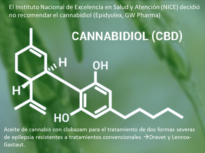 Necesario estudiar mas el cannabidiol para su aprobacion con usos medicos
