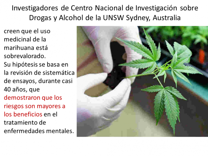 Tratamiento con marihuana exacerba los síntomas de enfermedades mentales
