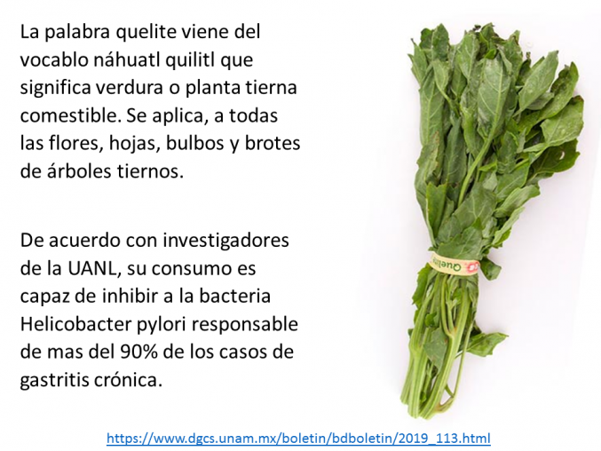 Para erradicar Helicobacter pylorii