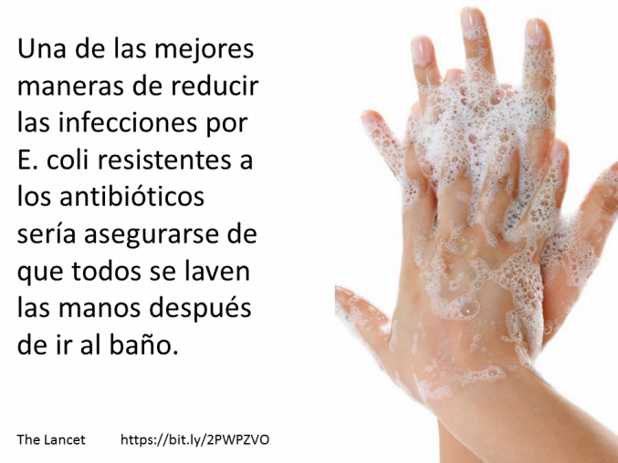 Mala higiene de las manos es el principal mecanismo de transmisión de E. coli