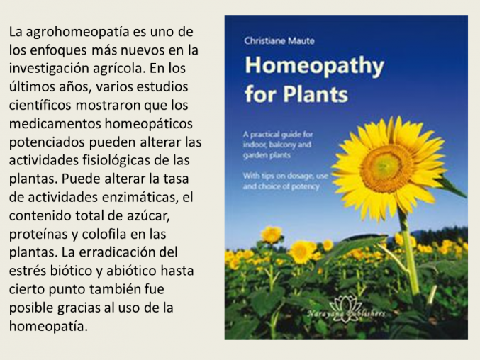 Un campo emergente en homeopatía
