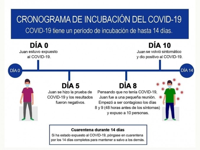 Cronograma de incubación del COVID-19