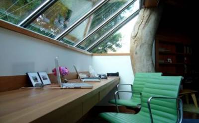 b2ap3_thumbnail_office-natural-light.jpg