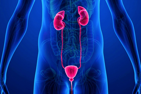 Urología
